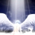 NEW ANGELUS