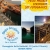 bagni scogliera on the rocks s.r.l.s.