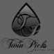 Twin Picks Guitar Trio